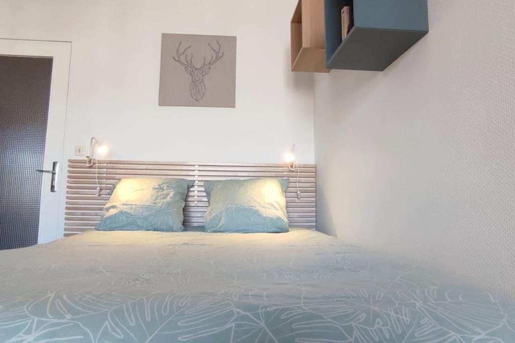 Le Septieme Ciel Cosy En Clermont-Ferrand